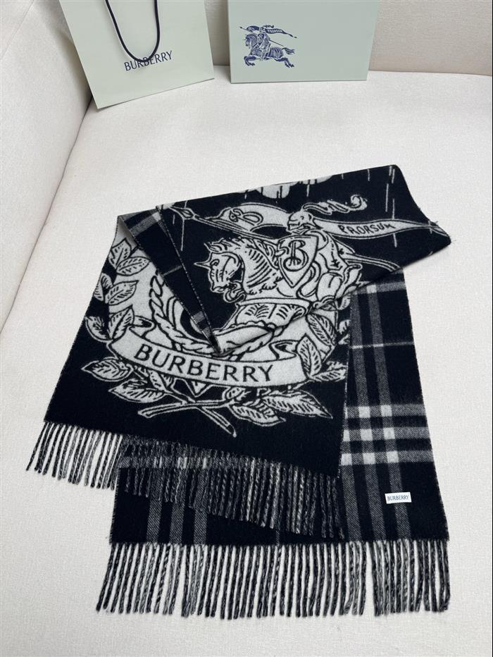 2026117185113113 210